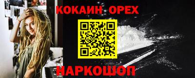 крисы Кингисепп