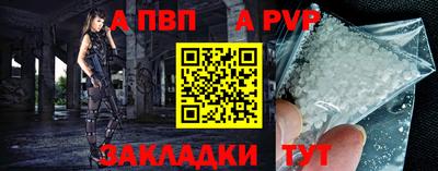 крисы Кингисепп