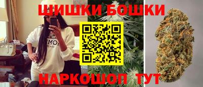 крисы Кингисепп