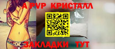 крисы Кингисепп