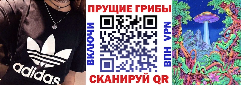 Галлюциногенные грибы Psilocybine cubensis  Дагестанские Огни 