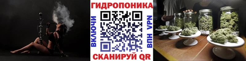 Шишки марихуана OG Kush  Дагестанские Огни 